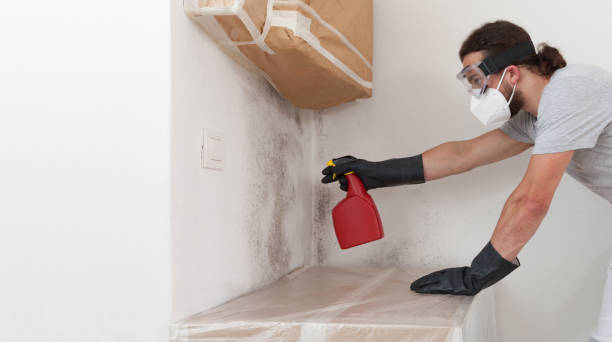 Professional Basement Mold Removal technician working in Clifton, VA