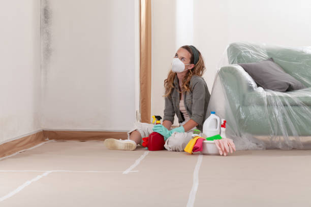 Reliable Basement Mold Removal contractor in Clifton, VA by Cheap Mold Removal